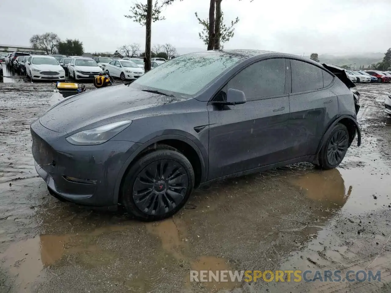 1 Фотография поврежденного автомобиля 7SAYGDEE8RF060376 TESLA MODEL Y 2024