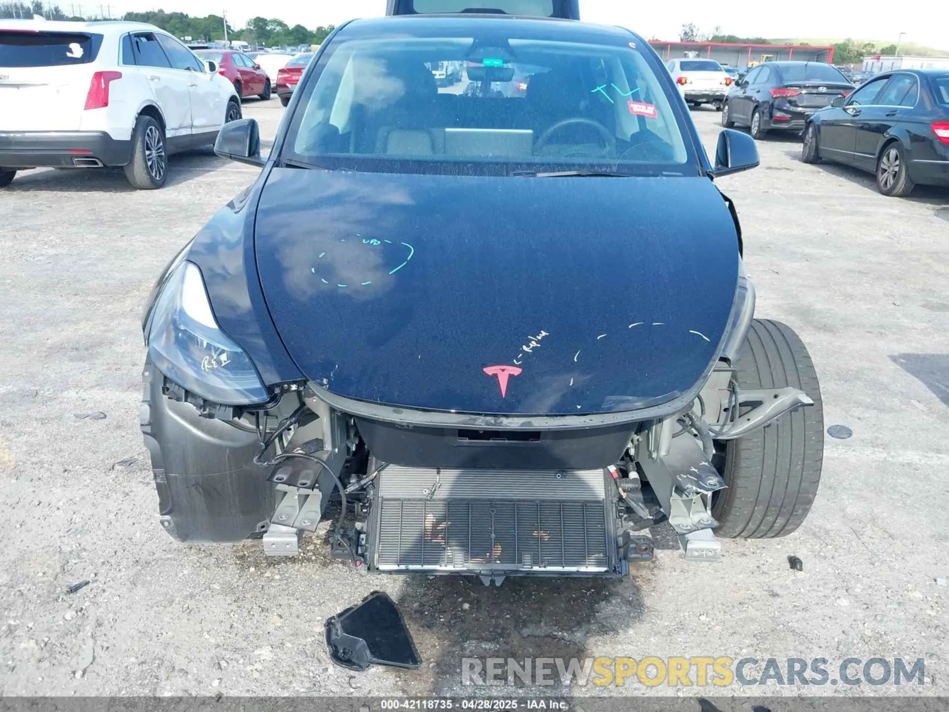 6 Photograph of a damaged car 7SAYGDEE9RA293261 TESLA MODEL Y 2024