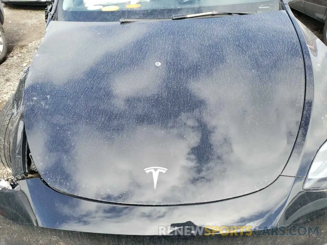 11 Photograph of a damaged car 7SAYGDEE9RF183281 TESLA MODEL Y 2024