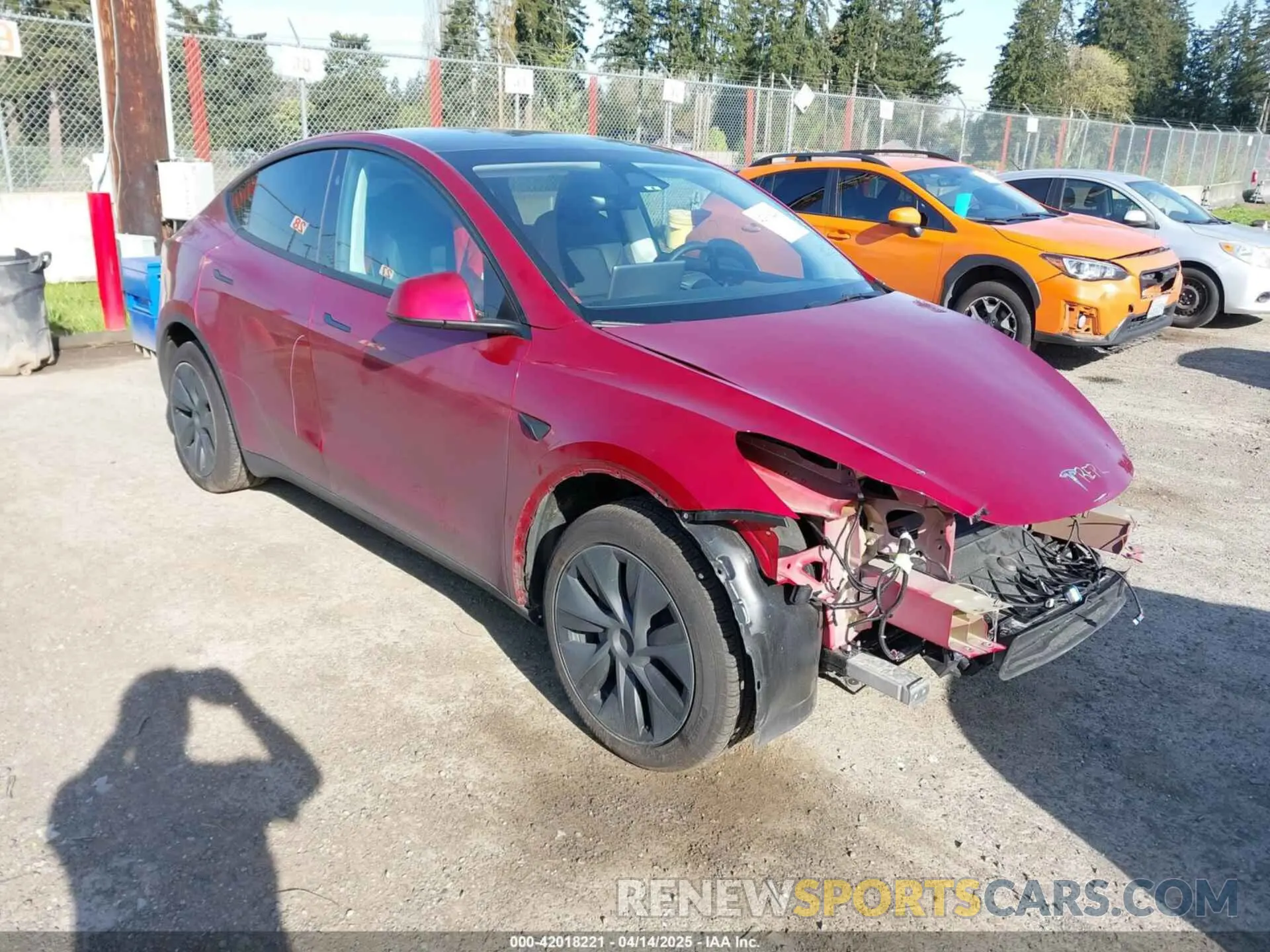 1 Photograph of a damaged car 7SAYGDEE9RF199805 TESLA MODEL Y 2024