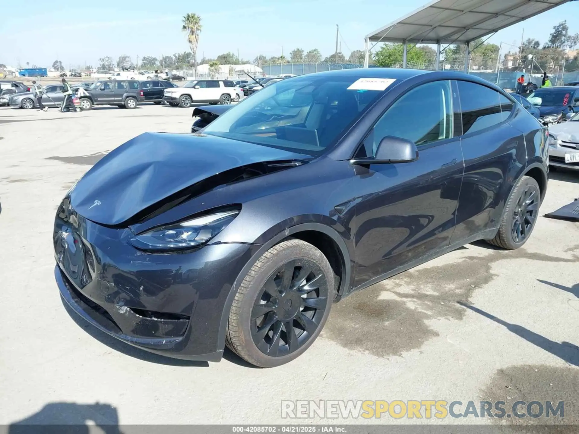 2 Photograph of a damaged car 7SAYGDEEXRF146109 TESLA MODEL Y 2024