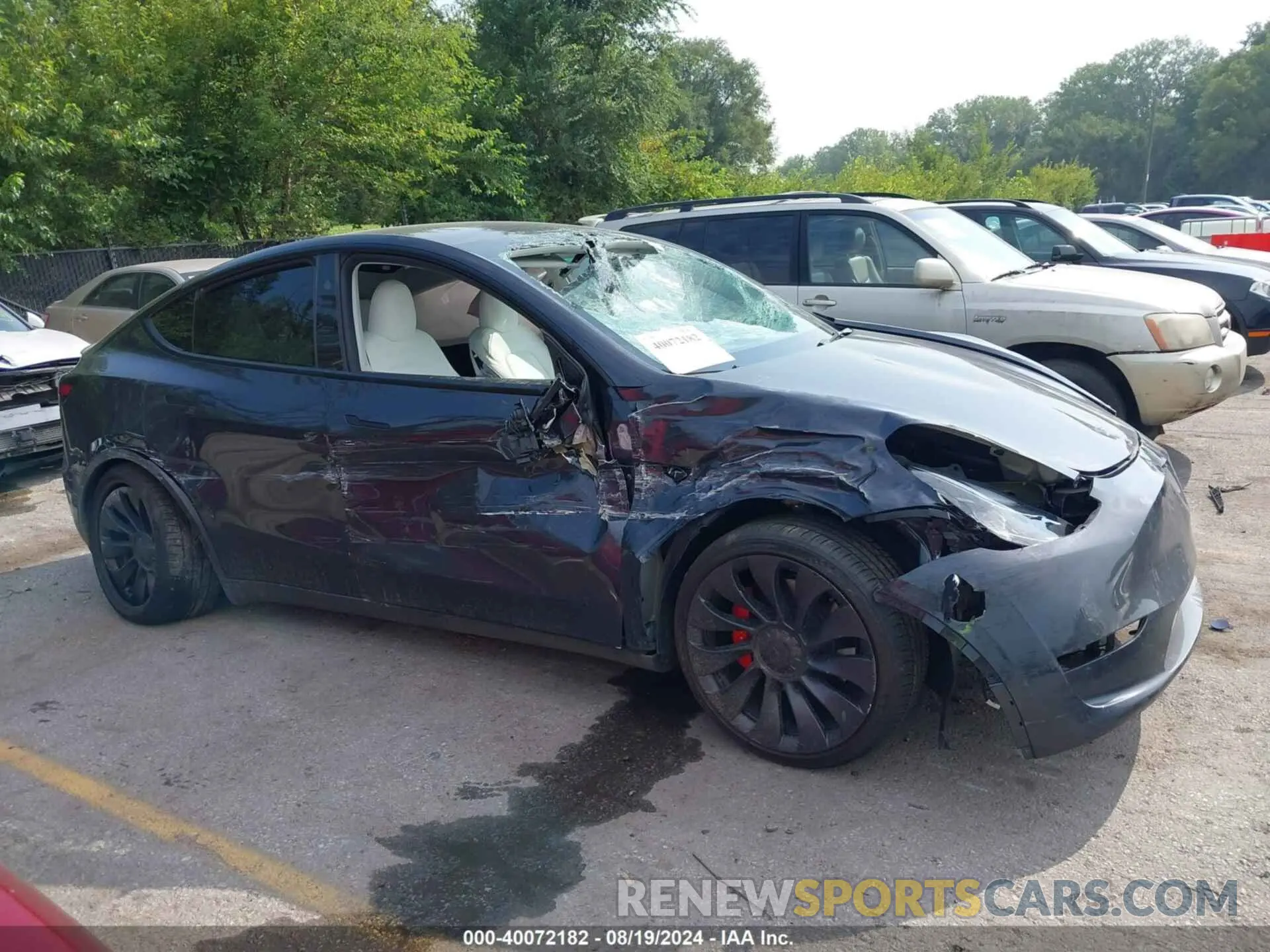 12 Фотография поврежденного автомобиля 7SAYGDEF3RF022885 TESLA MODEL Y 2024