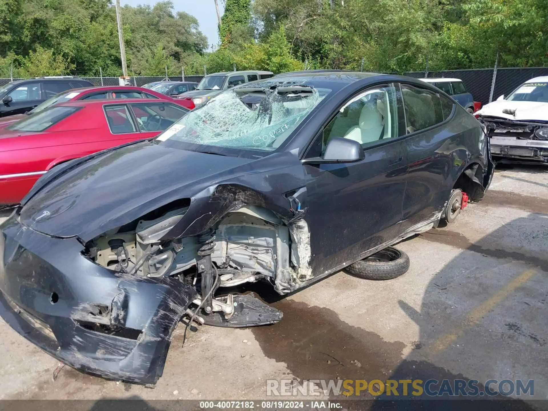 6 Фотография поврежденного автомобиля 7SAYGDEF3RF022885 TESLA MODEL Y 2024