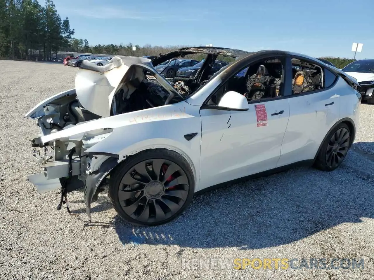 1 Фотография поврежденного автомобиля 7SAYGDEF5RF183755 TESLA MODEL Y 2024