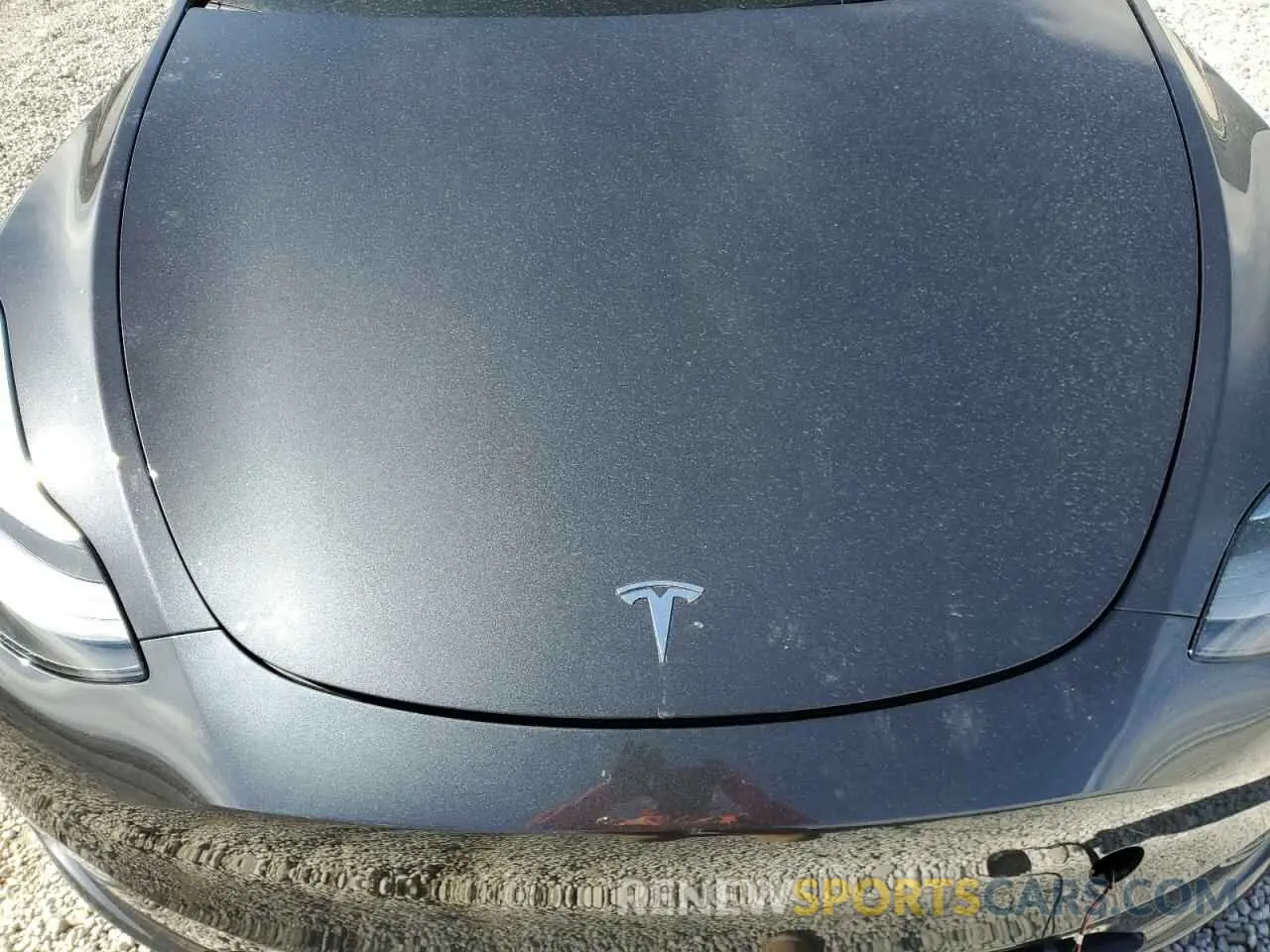 12 Photograph of a damaged car 7SAYGDEF6RF166365 TESLA MODEL Y 2024