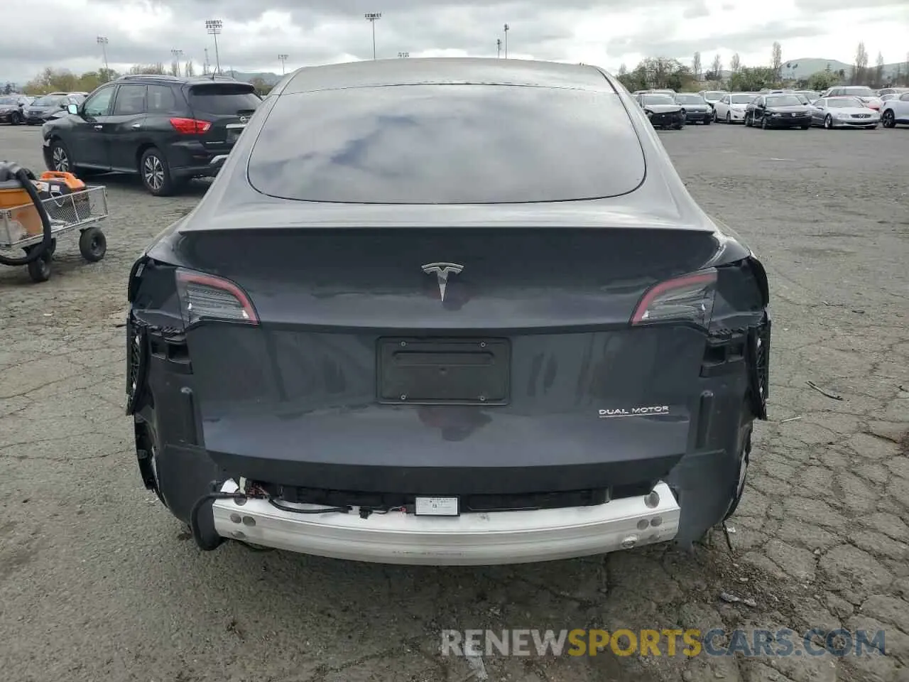 6 Фотография поврежденного автомобиля 7SAYGDEF7RF093054 TESLA MODEL Y 2024