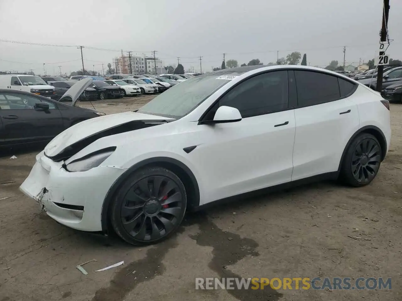 1 Фотография поврежденного автомобиля 7SAYGDEF8RF113876 TESLA MODEL Y 2024