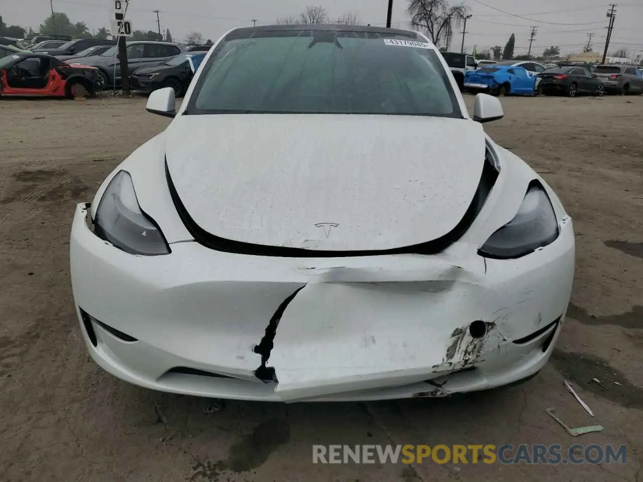 5 Фотография поврежденного автомобиля 7SAYGDEF8RF113876 TESLA MODEL Y 2024