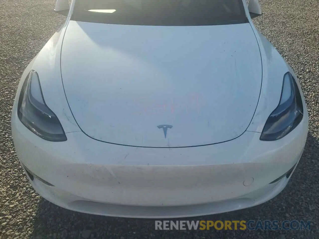 11 Photograph of a damaged car 7SAYGDEF9RA278008 TESLA MODEL Y 2024