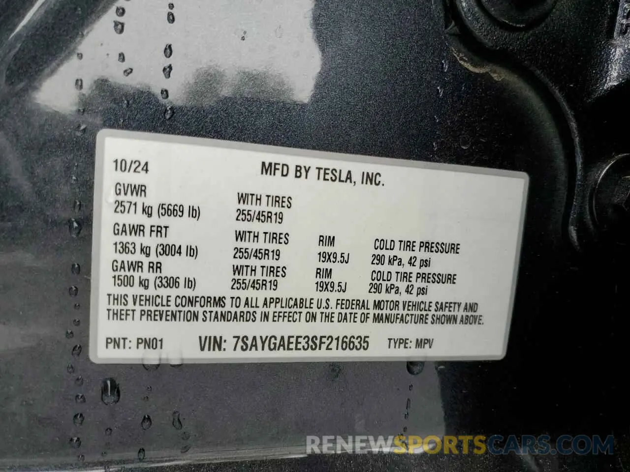 14 Фотография поврежденного автомобиля 7SAYGAEE3SF216635 TESLA MODEL Y 2025