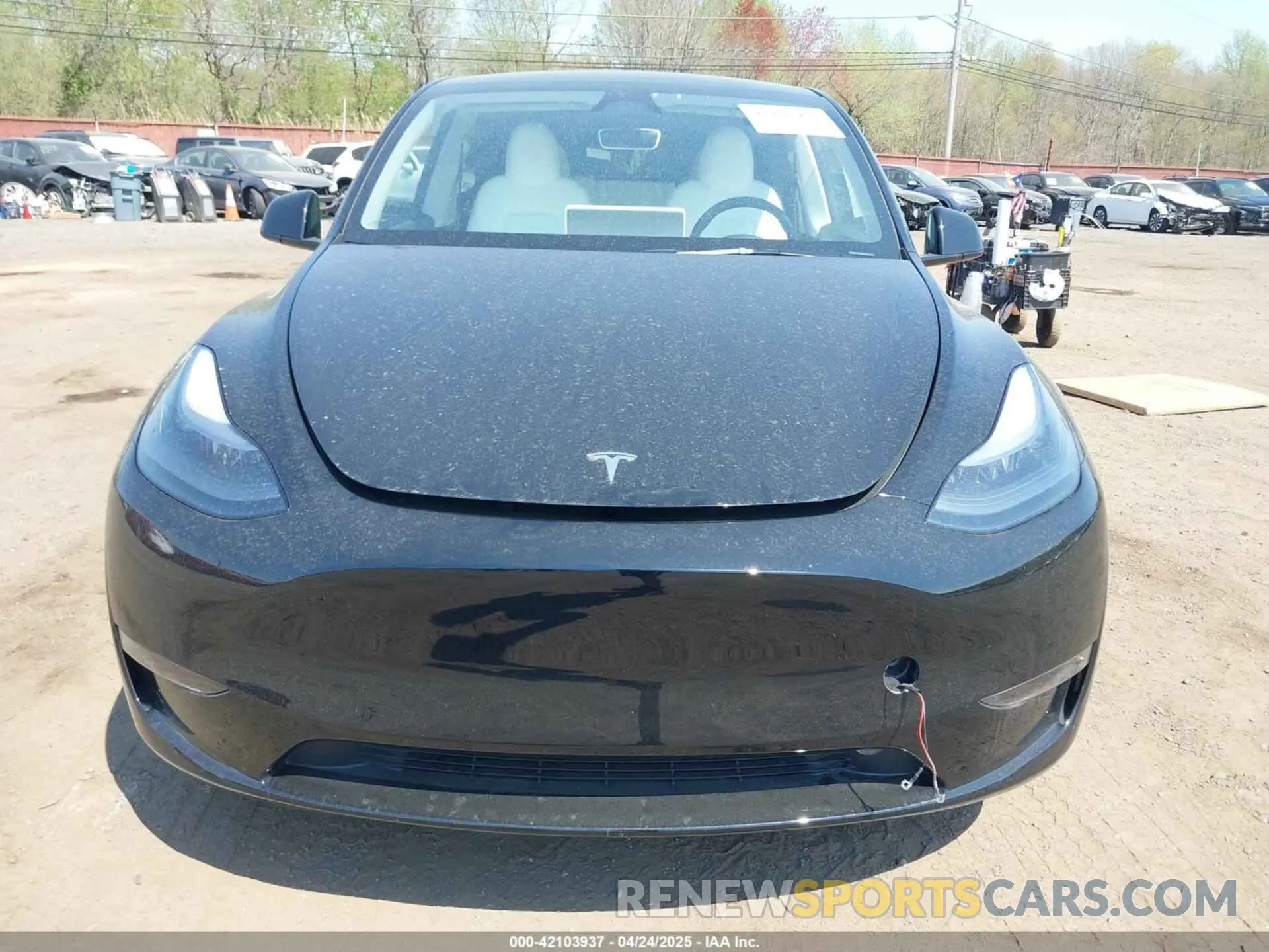 12 Фотография поврежденного автомобиля 7SAYGAEE5SF249006 TESLA MODEL Y 2025