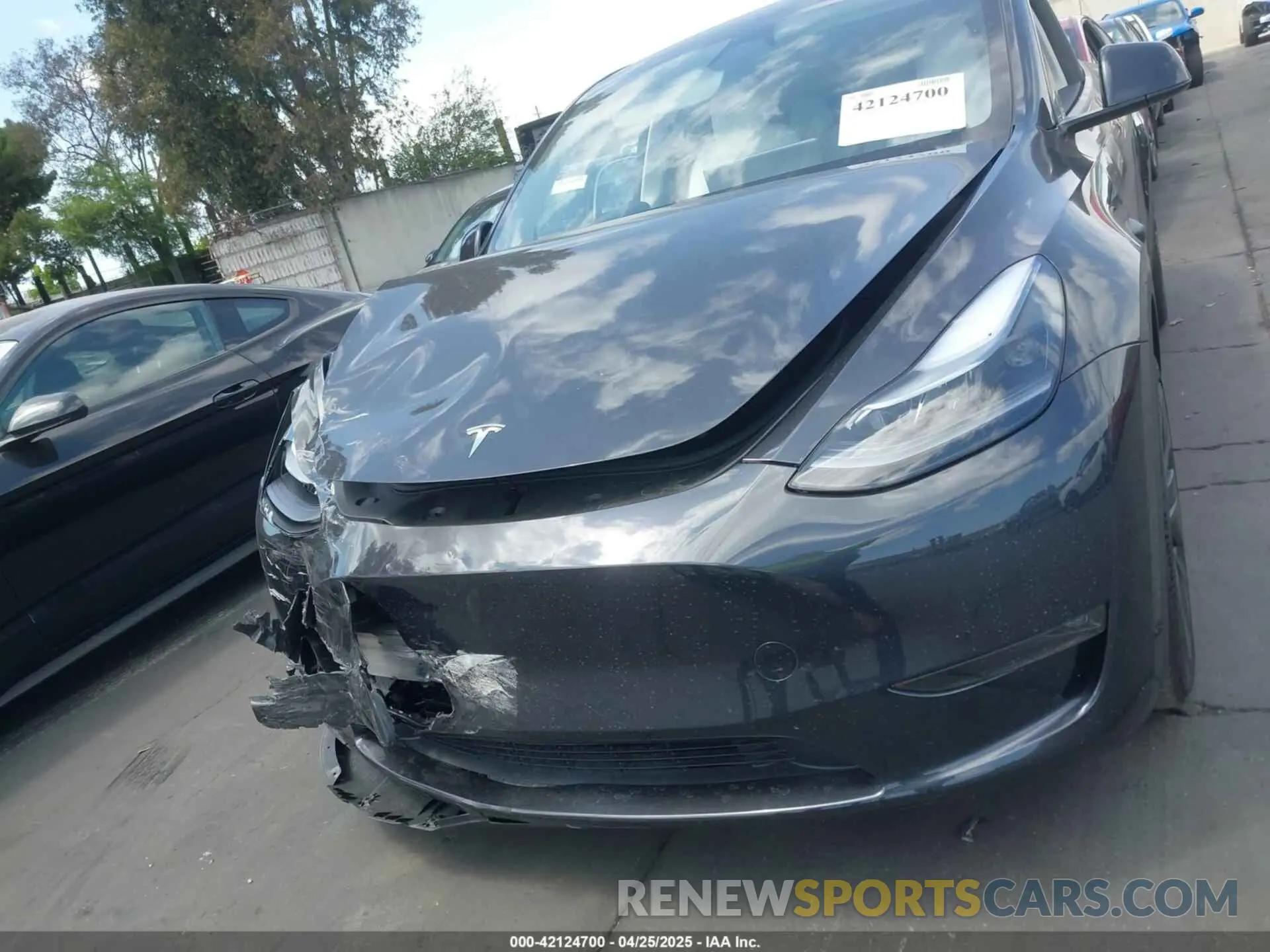 12 Photograph of a damaged car 7SAYGDEE3SF241486 TESLA MODEL Y 2025