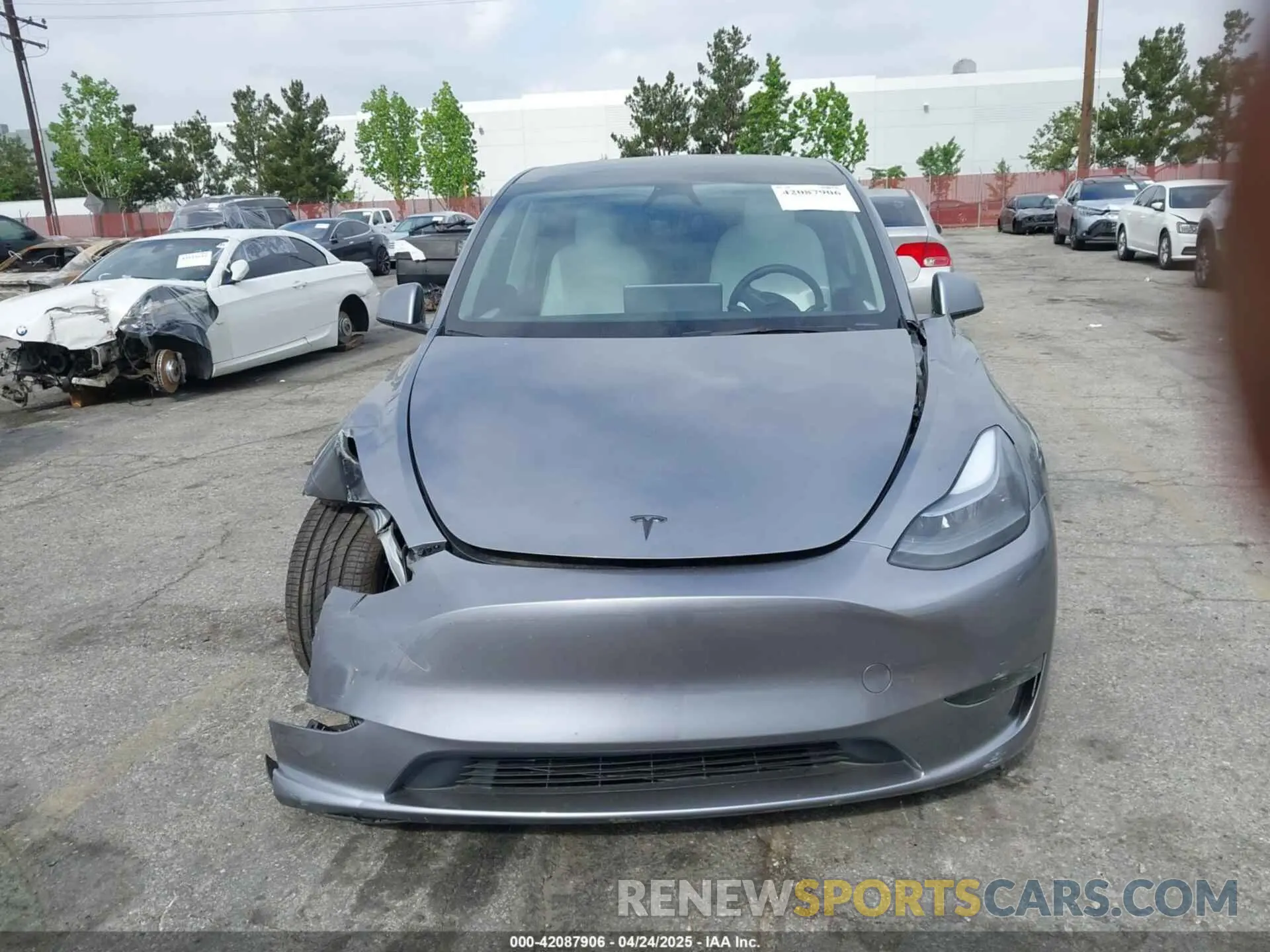 12 Photograph of a damaged car 7SAYGDEE7SF247212 TESLA MODEL Y 2025