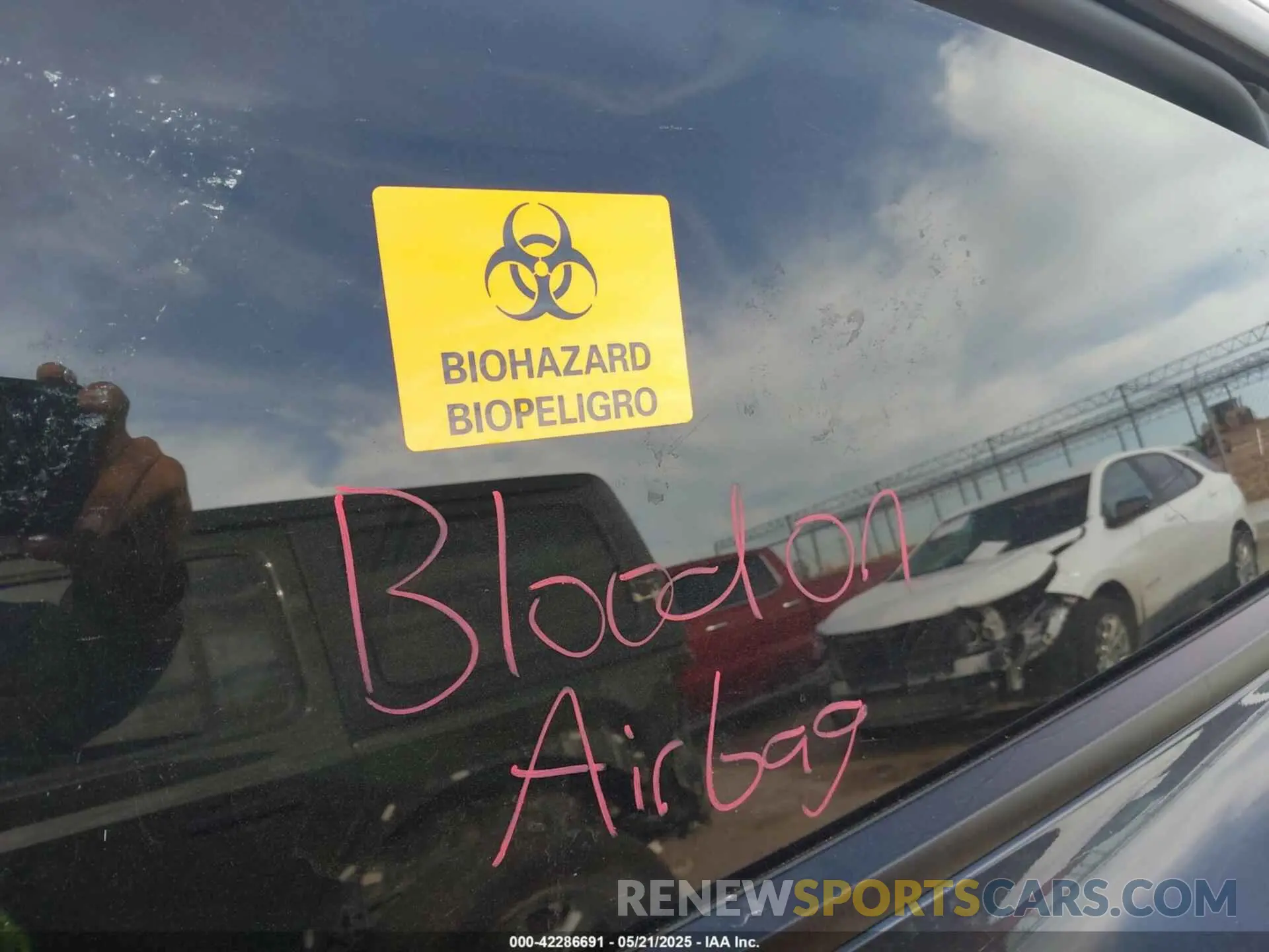 14 Photograph of a damaged car 7SAYGDEF2SA366176 TESLA MODEL Y 2025