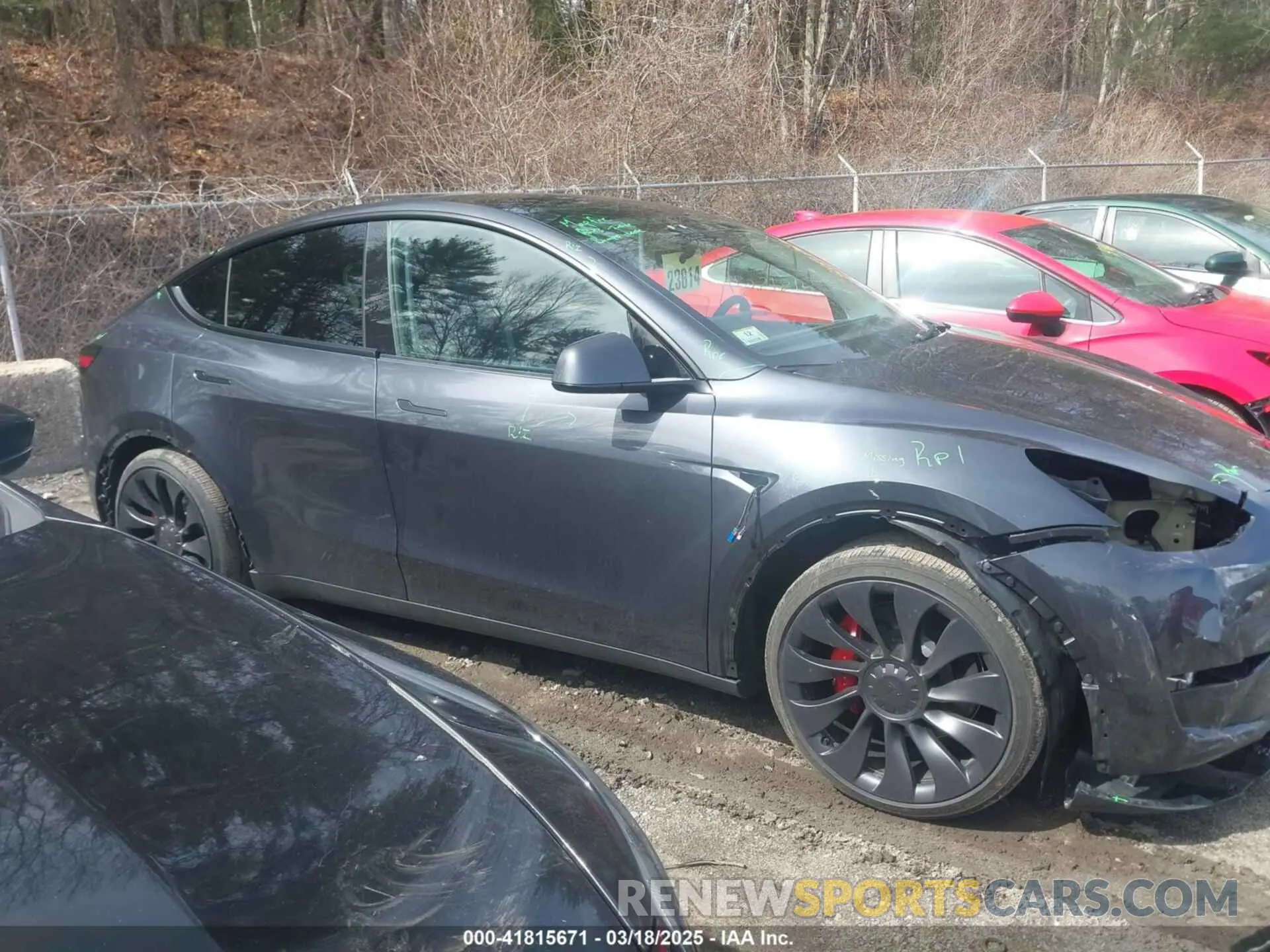 14 Фотография поврежденного автомобиля 7SAYGDEF4SA344146 TESLA MODEL Y 2025