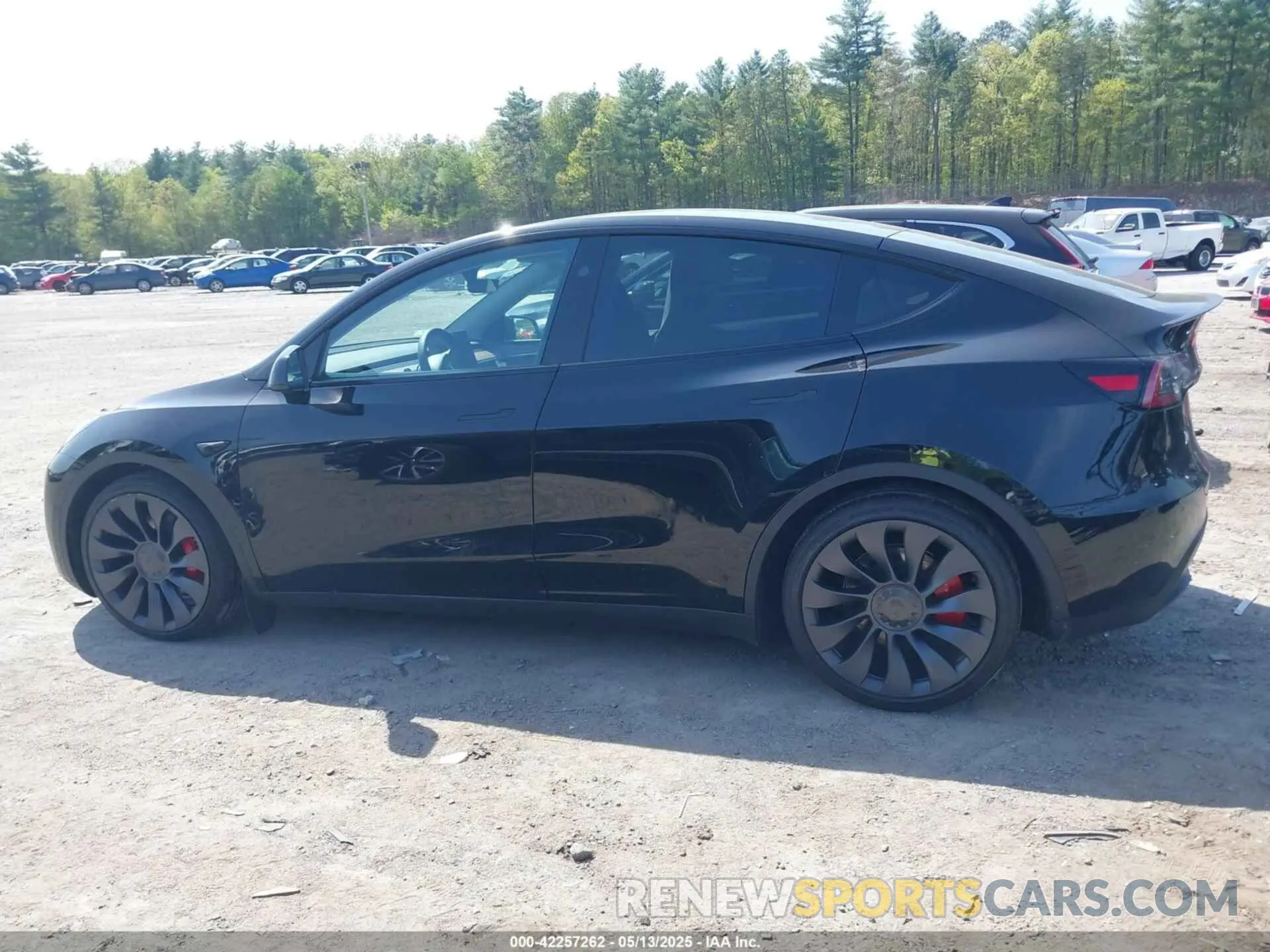 14 Фотография поврежденного автомобиля 7SAYGDEFXSF309548 TESLA MODEL Y 2025