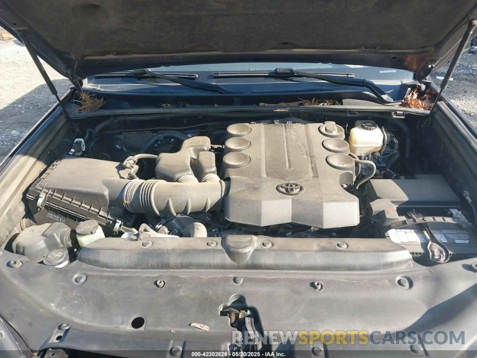 10 Photograph of a damaged car JTEBU5JR4K5655481 TOYOTA 4RUNNER 2019