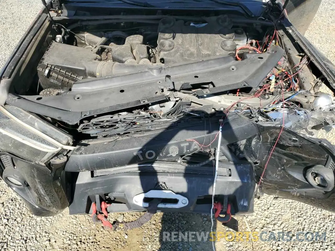 12 Photograph of a damaged car JTEBU5JR6K5687347 TOYOTA 4RUNNER 2019