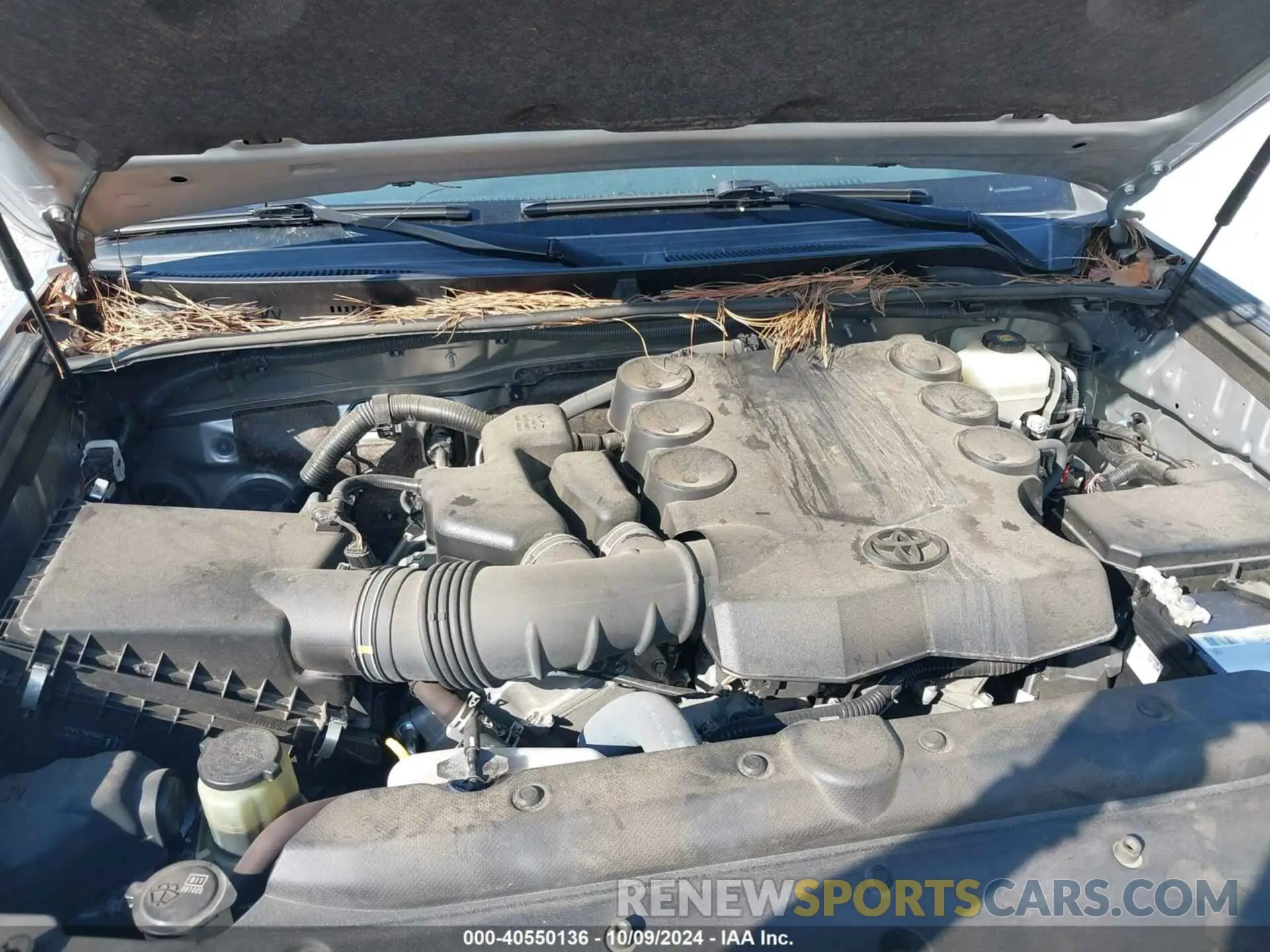 10 Photograph of a damaged car JTEBU5JR8K5669996 TOYOTA 4RUNNER 2019