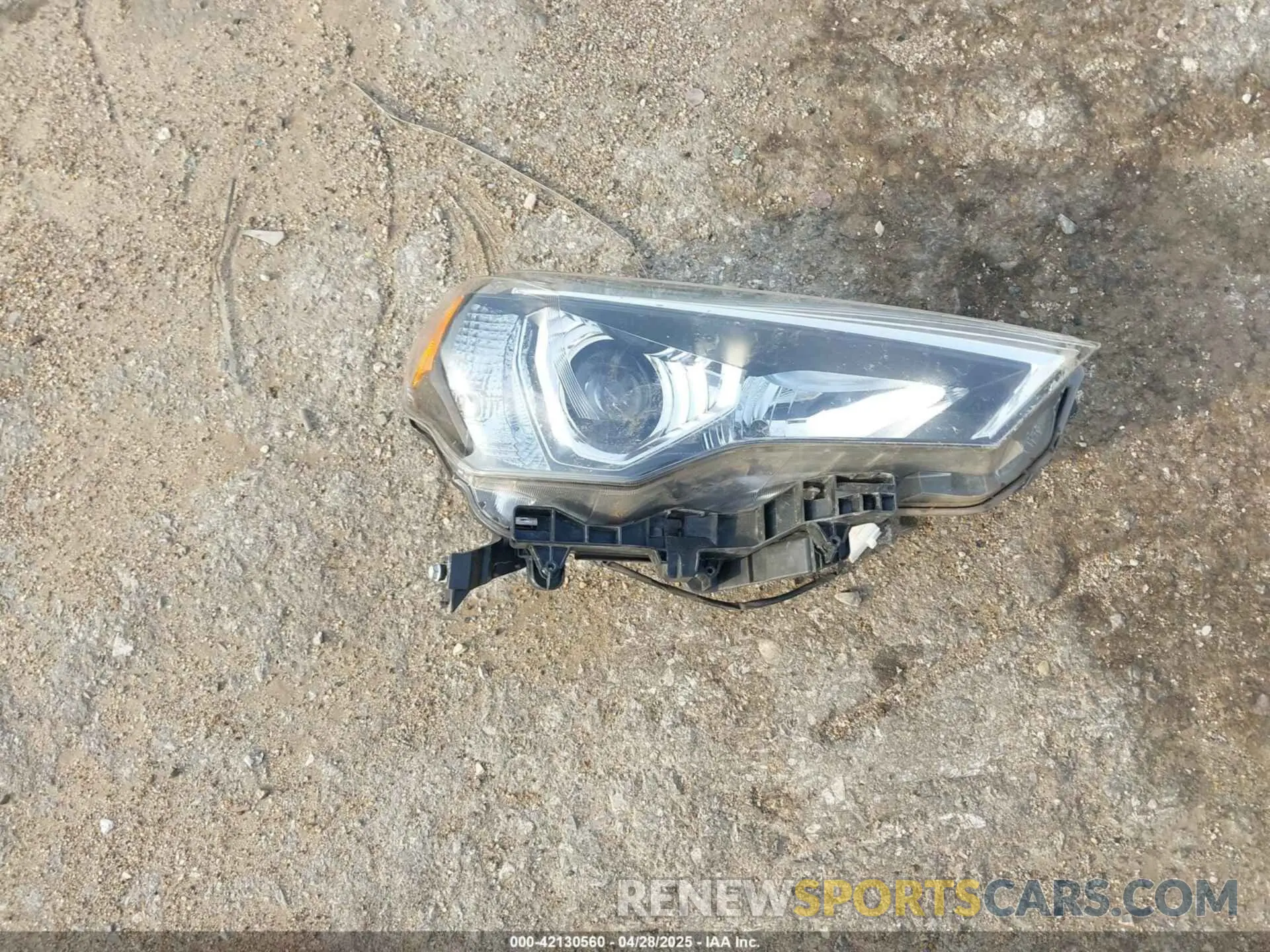 12 Photograph of a damaged car JTEMU5JR1M5937878 TOYOTA 4RUNNER 2021