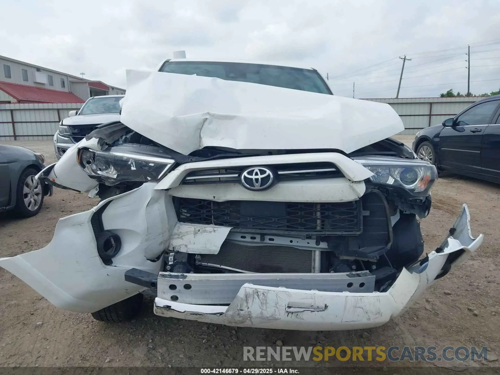 12 Photograph of a damaged car JTENU5JR9P6195572 TOYOTA 4RUNNER 2023