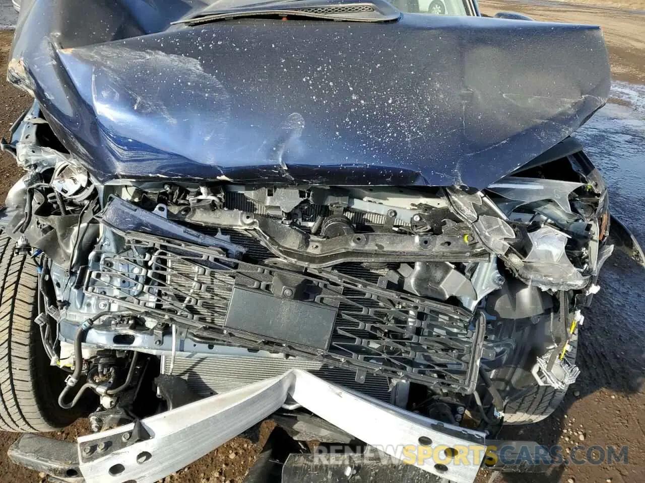12 Photograph of a damaged car JTERU5JR1R6301176 TOYOTA 4RUNNER 2024