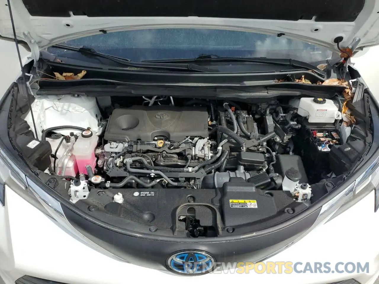 12 Фотография поврежденного автомобиля 5TDYRKEC0MS061455 TOYOTA All Models 2021