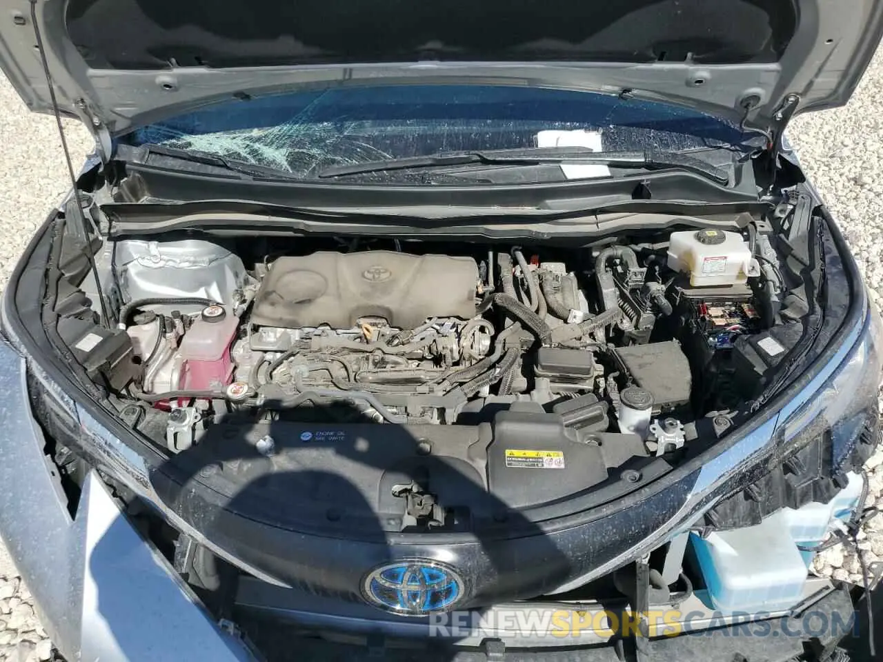 12 Photograph of a damaged car 5TDYRKEC0PS165030 TOYOTA All Models 2023