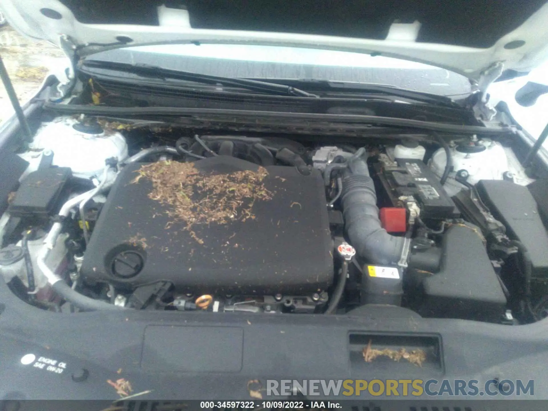 10 Photograph of a damaged car 4T1BZ1FBXKU032166 TOYOTA AVALON 2019