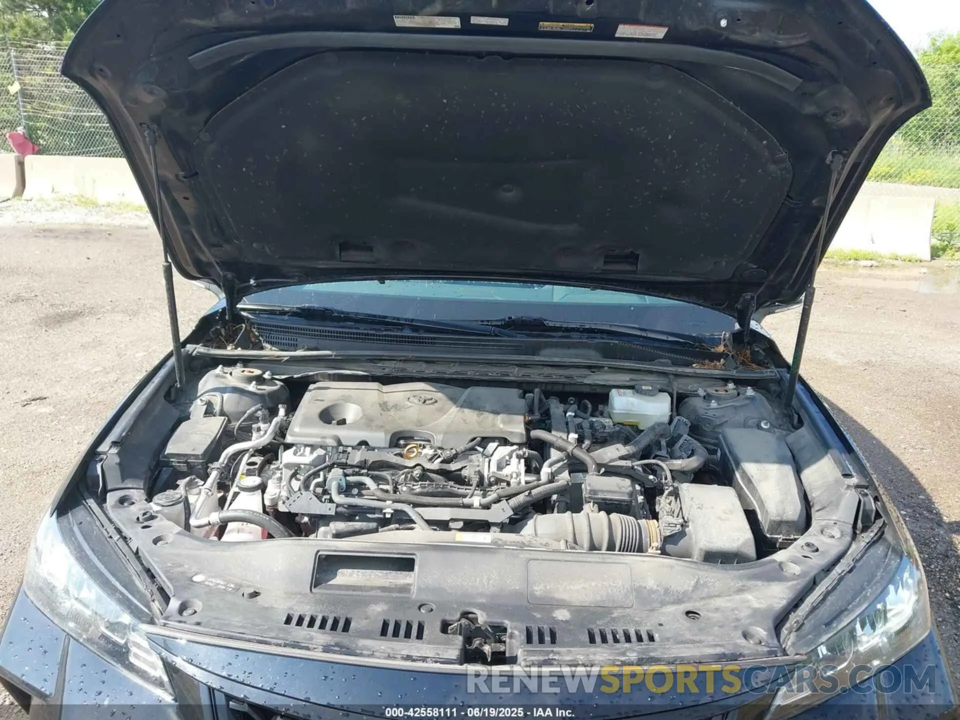 10 Photograph of a damaged car 4T1EA1AB3MU008774 TOYOTA AVALON 2021