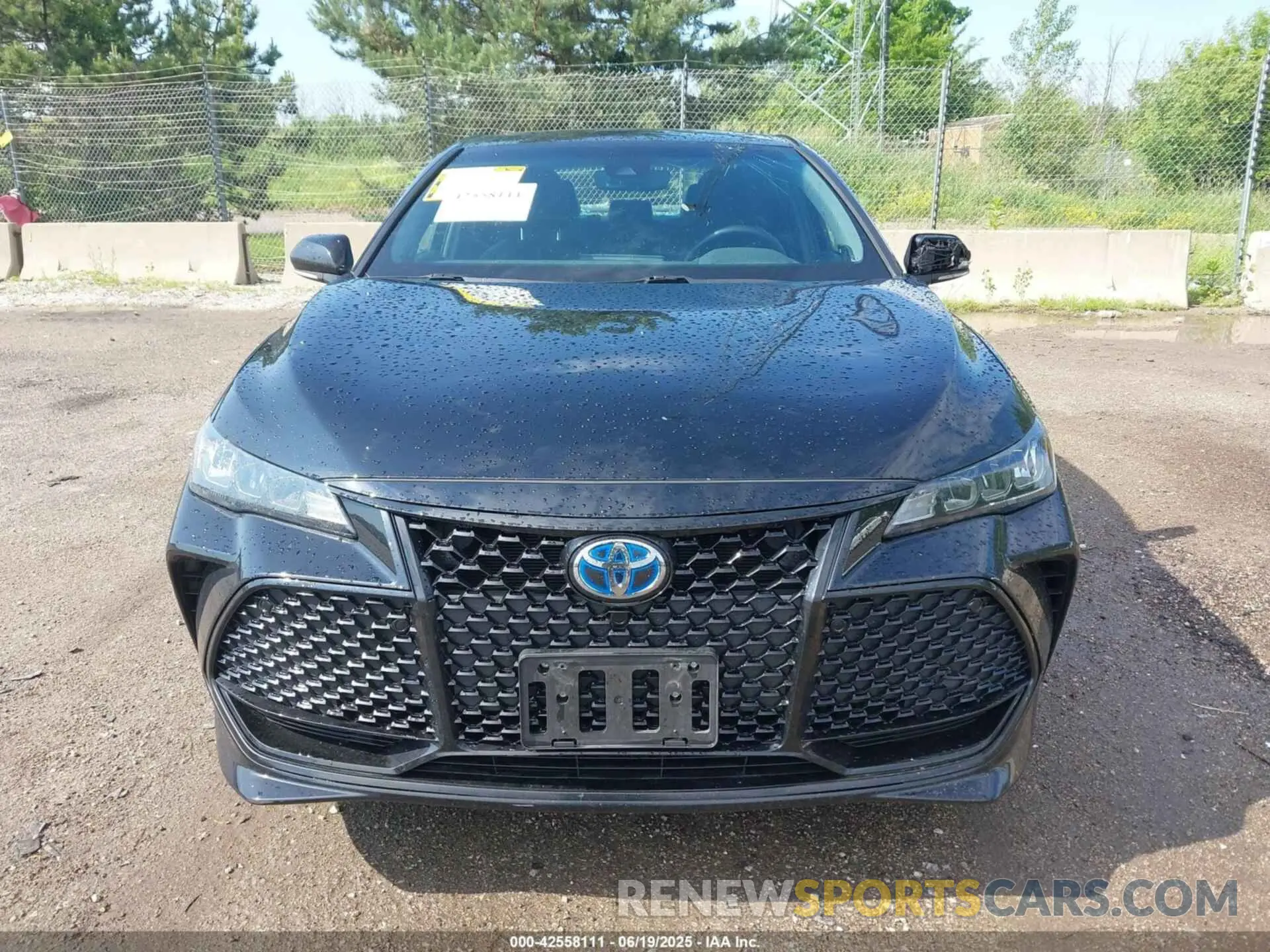 12 Photograph of a damaged car 4T1EA1AB3MU008774 TOYOTA AVALON 2021