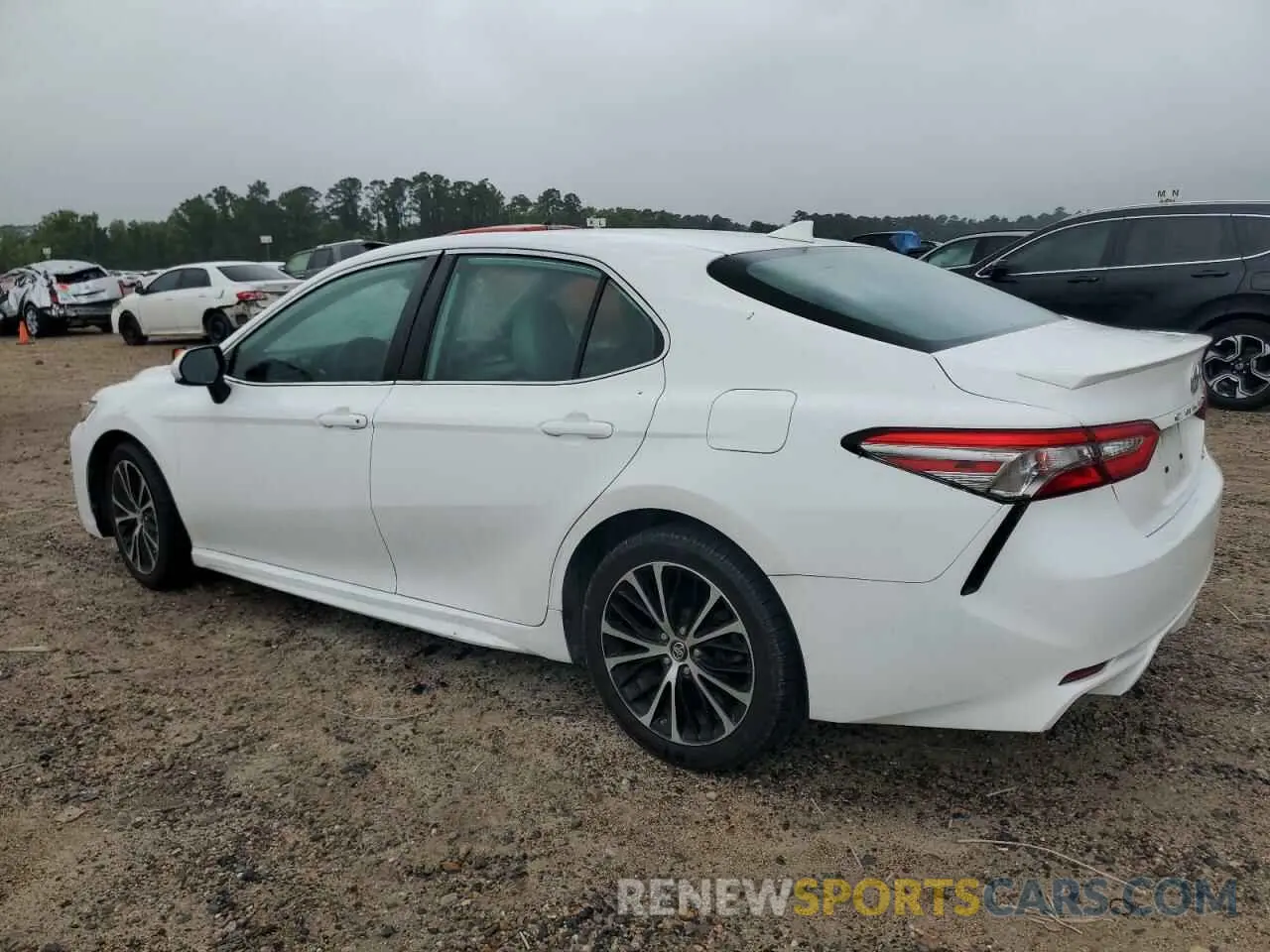 2 Photograph of a damaged car 4T1B11HK0KU210543 TOYOTA CAMRY 2019