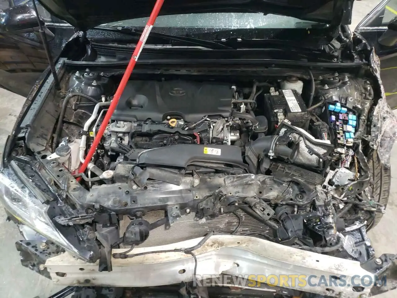 13 Photograph of a damaged car 4T1B11HK0KU237080 TOYOTA CAMRY 2019