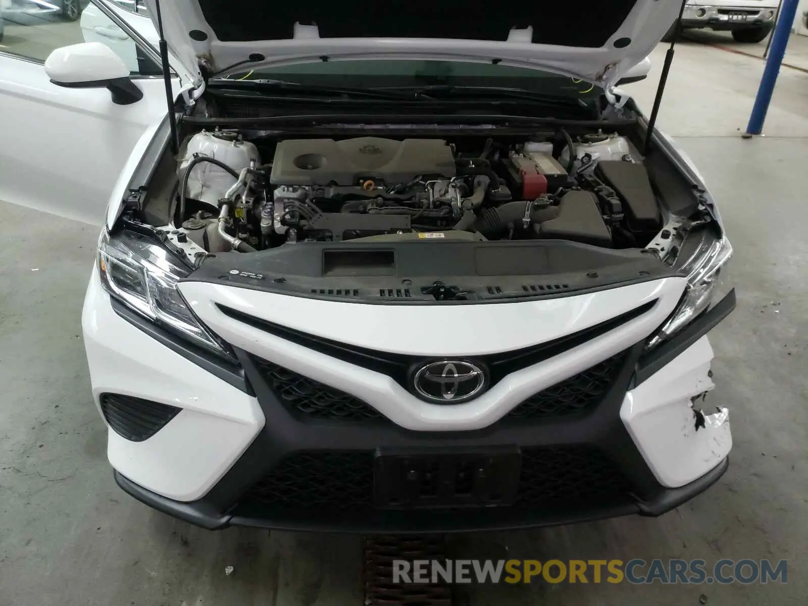 7 Photograph of a damaged car 4T1B11HK0KU296906 TOYOTA CAMRY 2019
