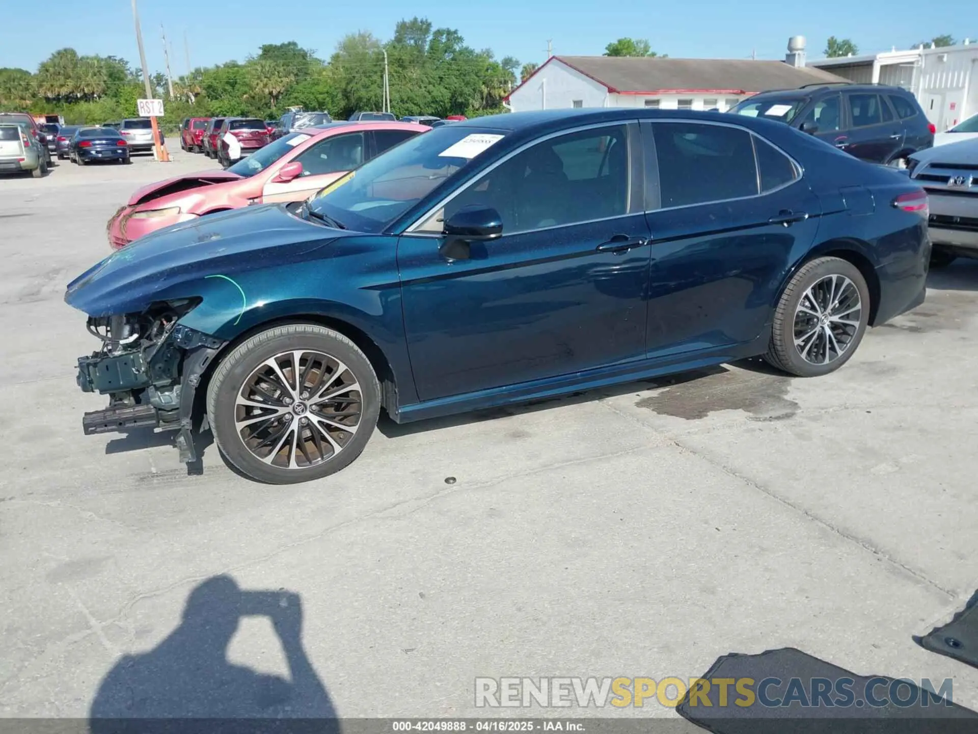 2 Photograph of a damaged car 4T1B11HK0KU697016 TOYOTA CAMRY 2019