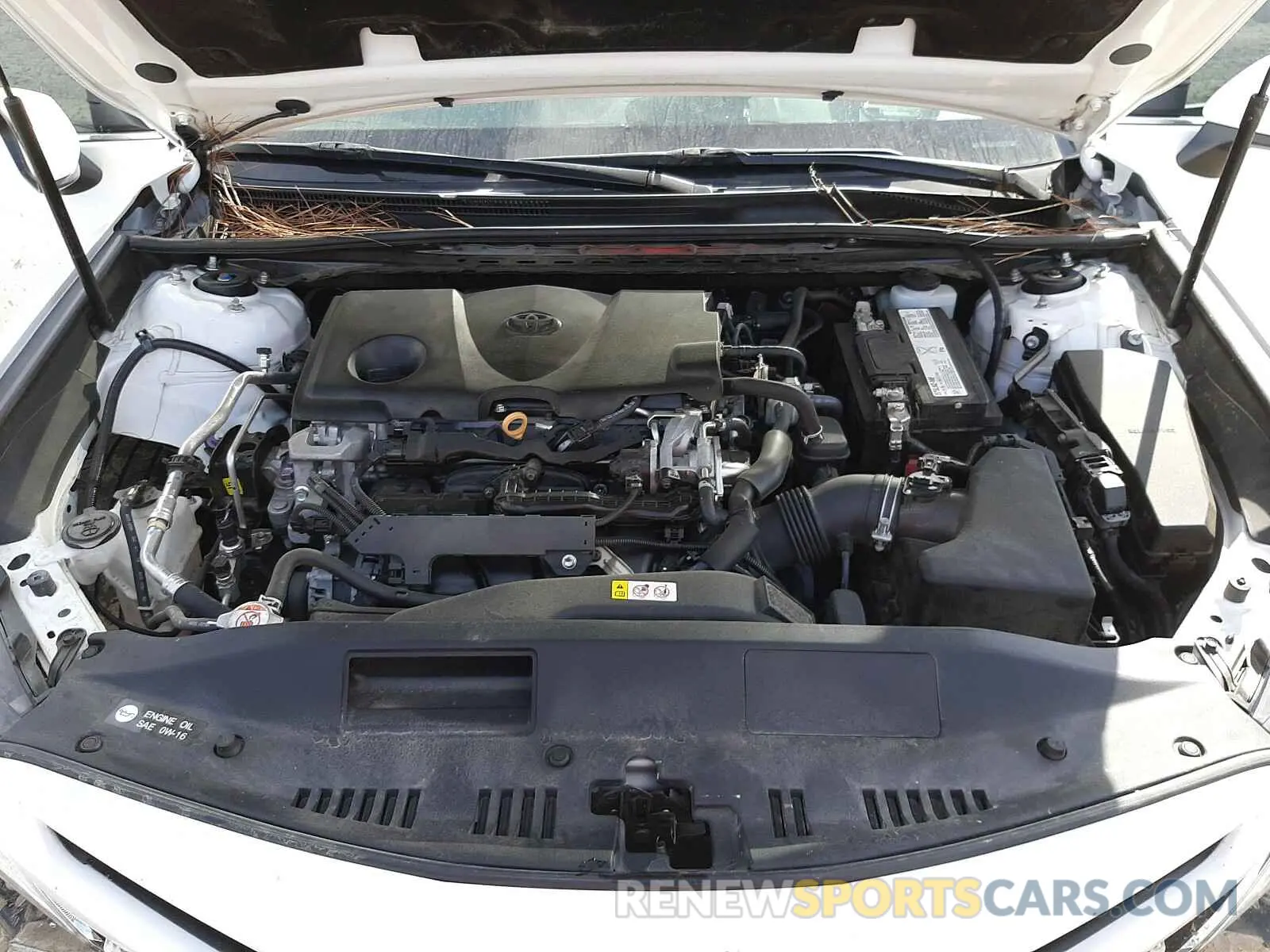 7 Photograph of a damaged car 4T1B11HK0KU700299 TOYOTA CAMRY 2019