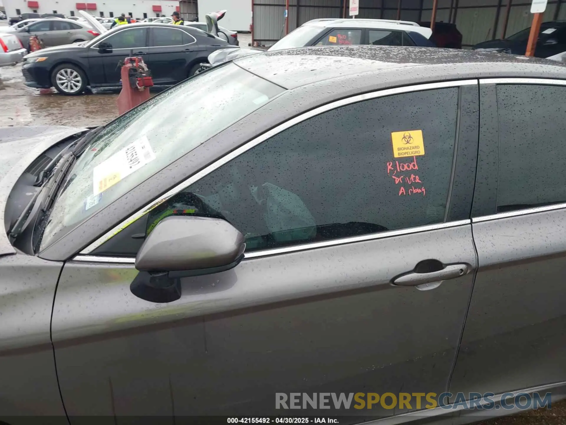 6 Фотография поврежденного автомобиля 4T1B11HK0KU715515 TOYOTA CAMRY 2019