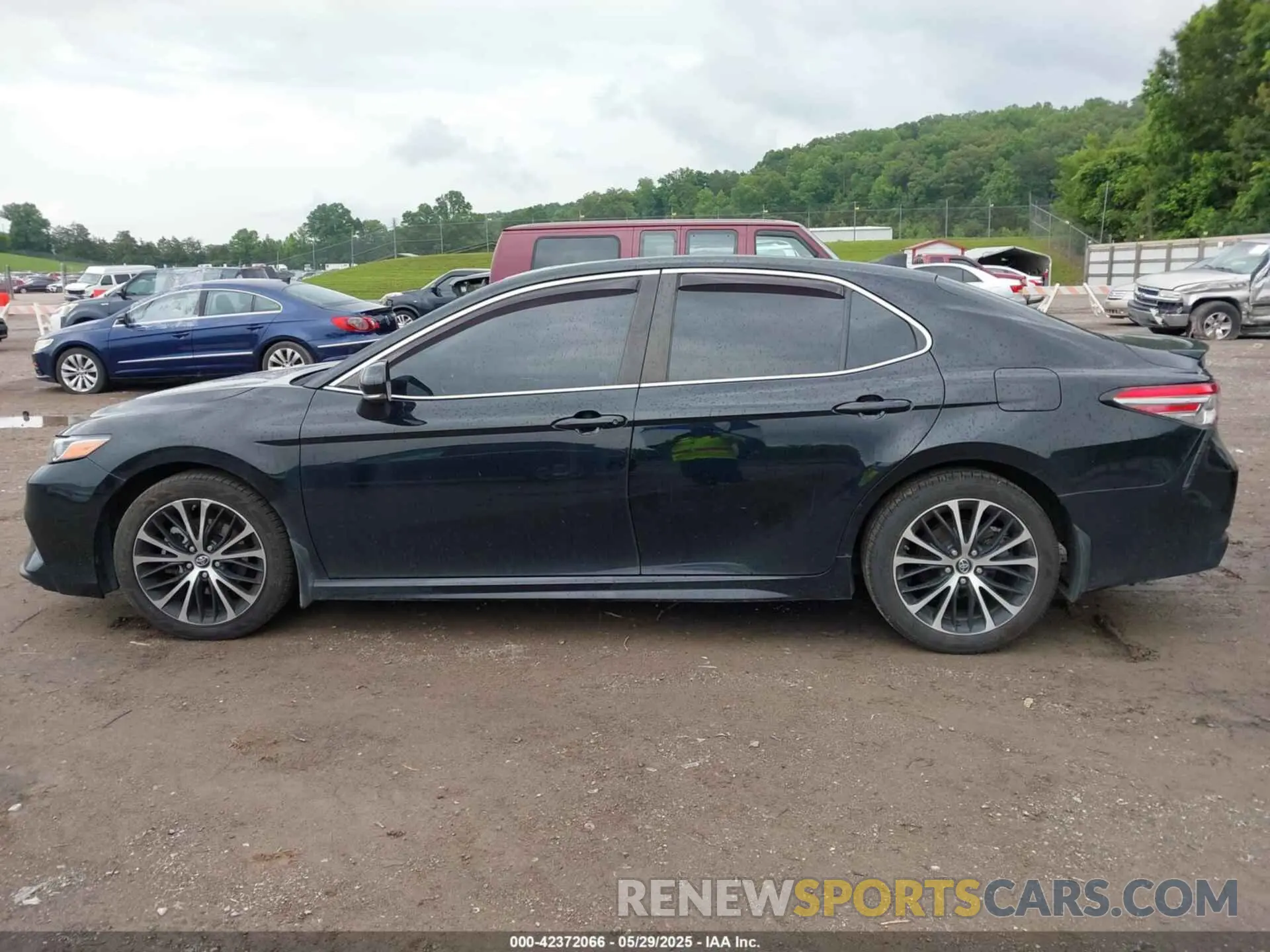 14 Photograph of a damaged car 4T1B11HK0KU739121 TOYOTA CAMRY 2019