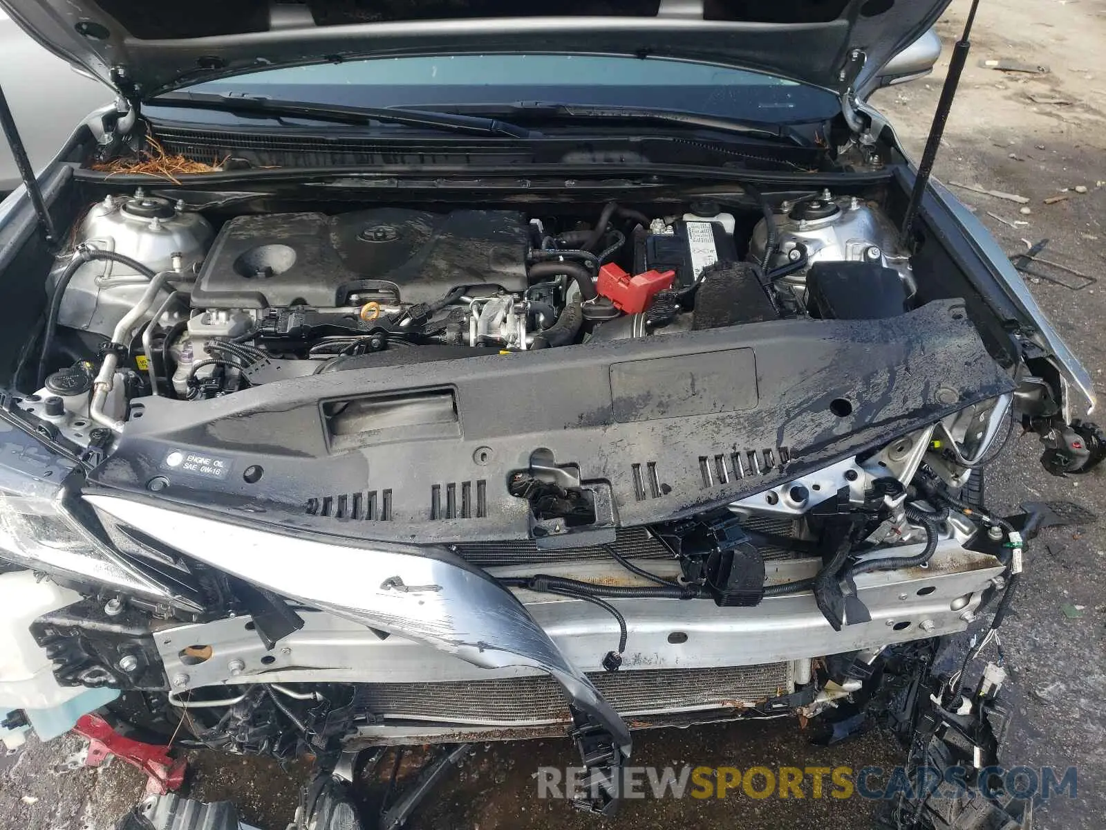 7 Photograph of a damaged car 4T1B11HK0KU751527 TOYOTA CAMRY 2019