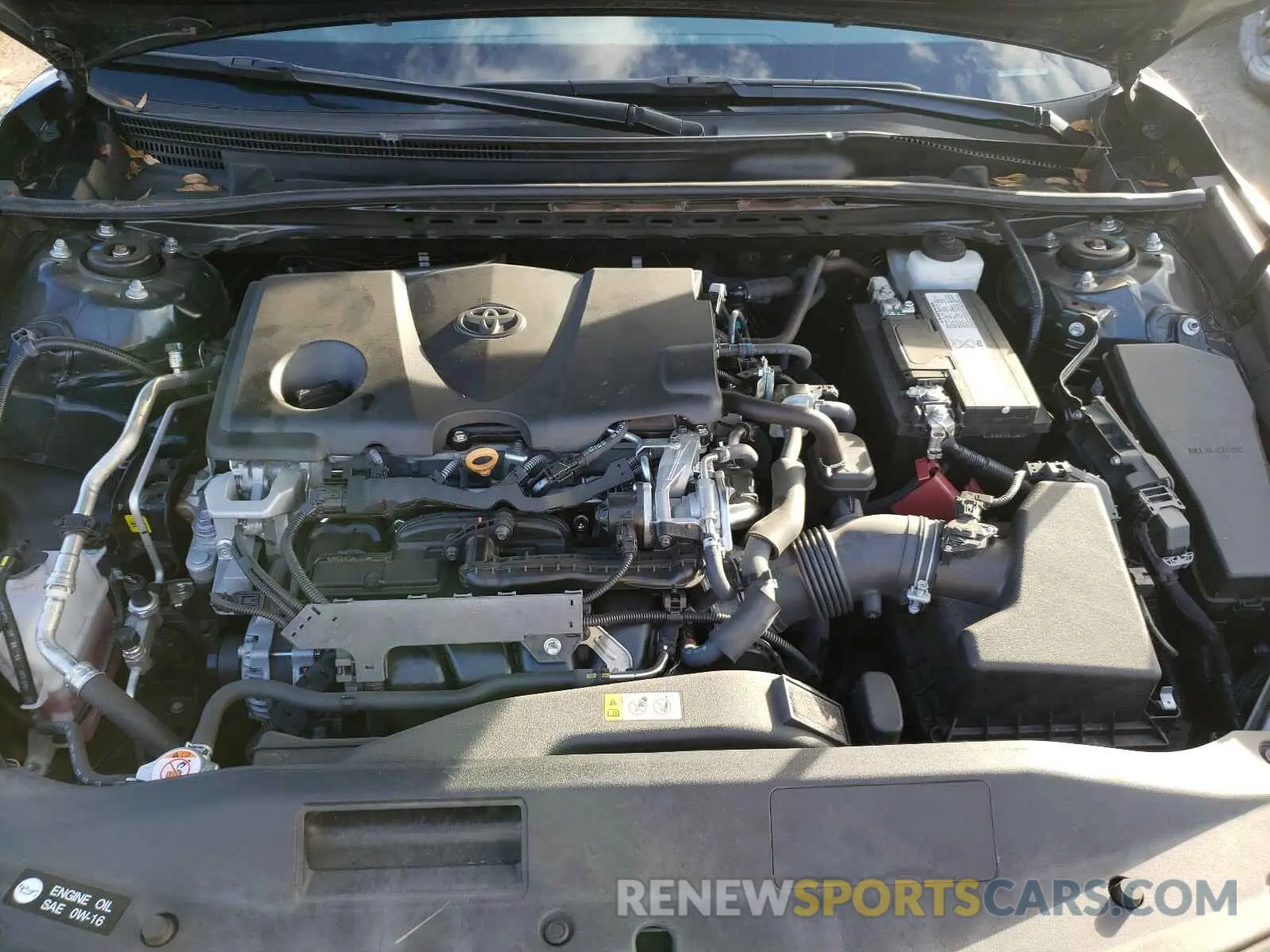 7 Photograph of a damaged car 4T1B11HK0KU761233 TOYOTA CAMRY 2019