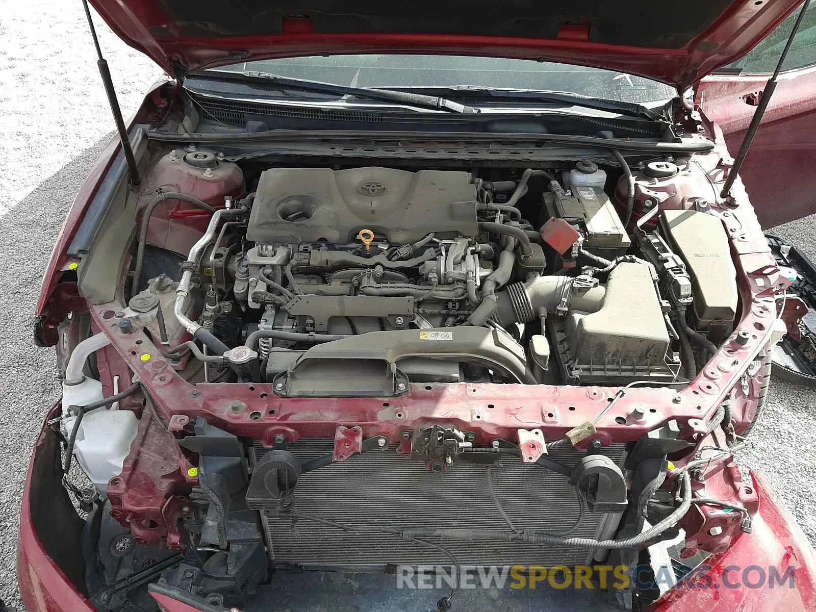 7 Фотография поврежденного автомобиля 4T1B11HK0KU804291 TOYOTA CAMRY 2019