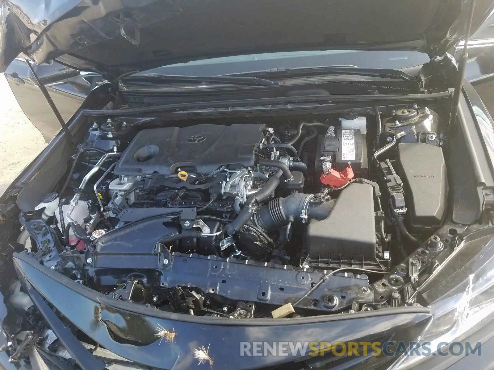 7 Photograph of a damaged car 4T1B11HK0KU808888 TOYOTA CAMRY 2019