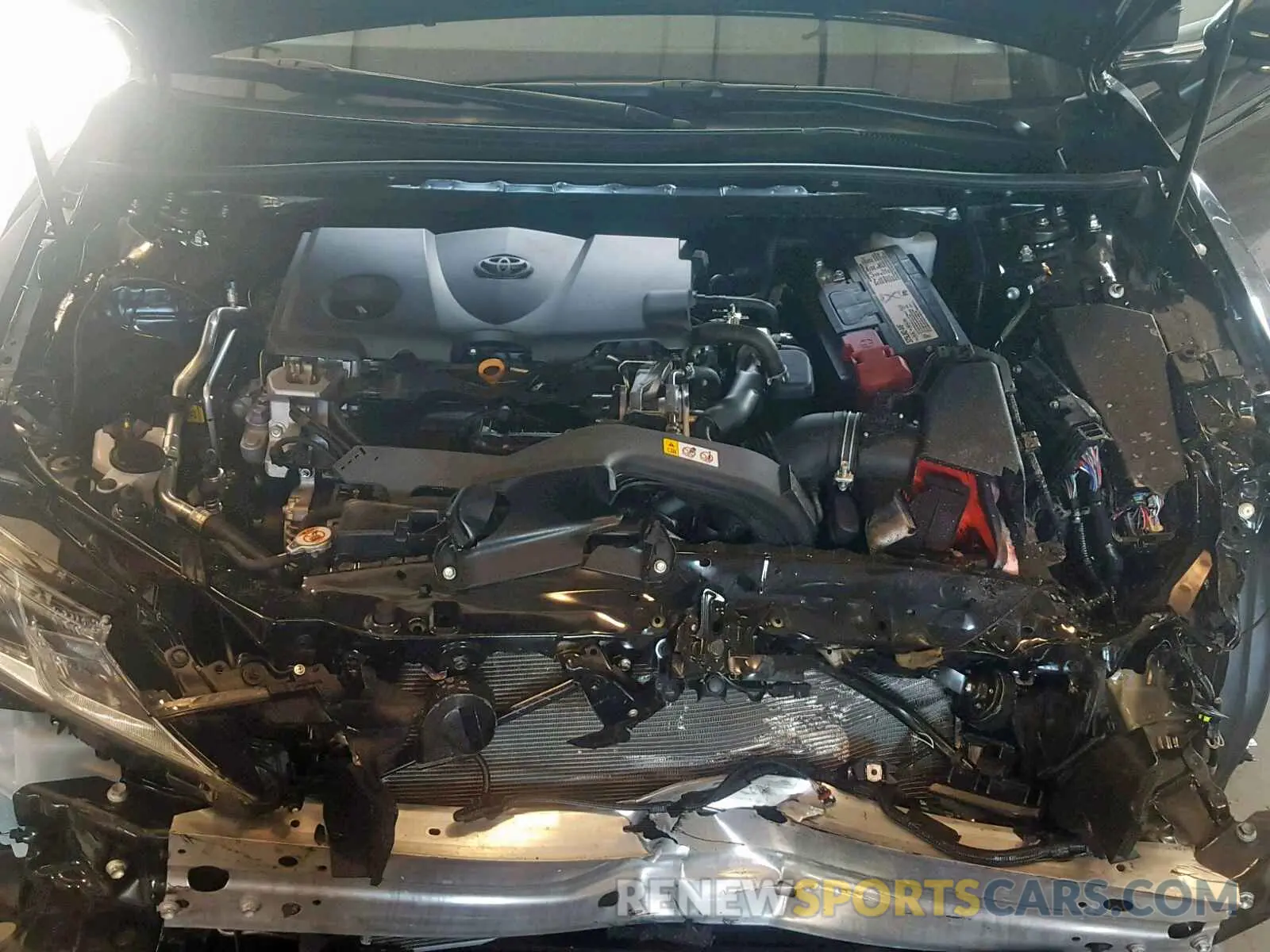7 Photograph of a damaged car 4T1B11HK0KU816246 TOYOTA CAMRY 2019