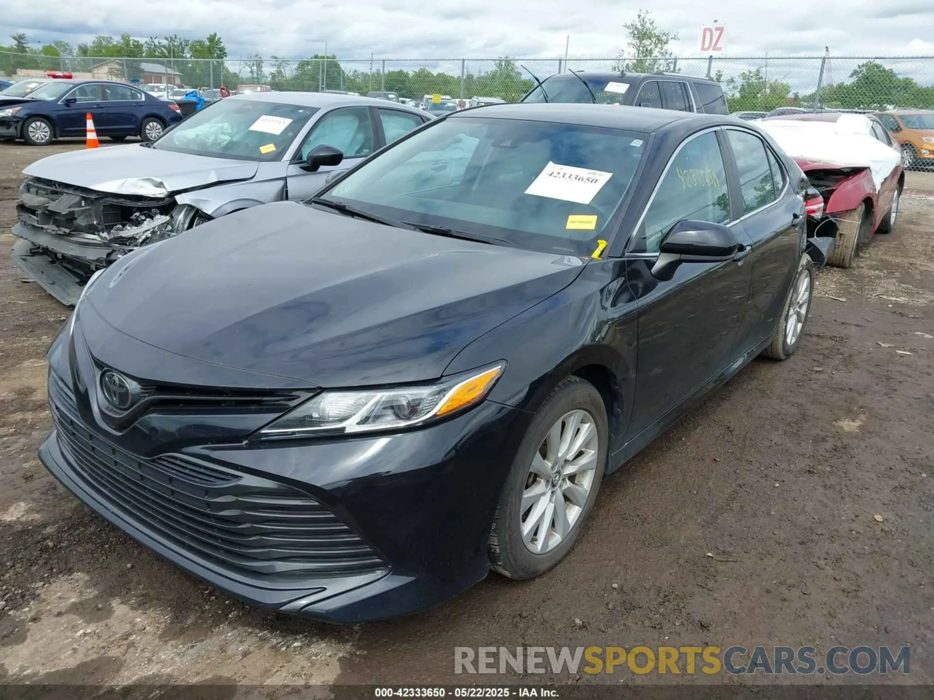 2 Photograph of a damaged car 4T1B11HK0KU821995 TOYOTA CAMRY 2019