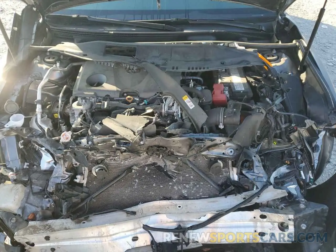 12 Photograph of a damaged car 4T1B11HK0KU823889 TOYOTA CAMRY 2019
