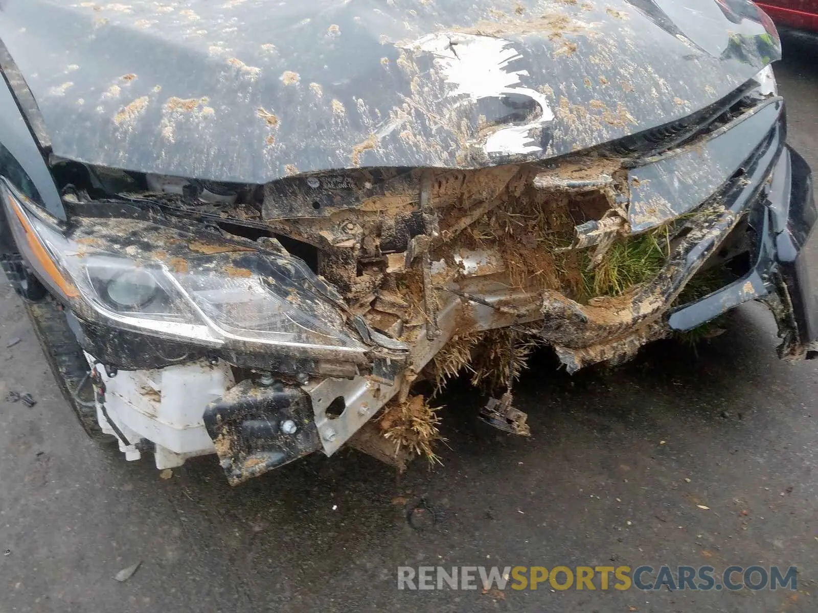 9 Photograph of a damaged car 4T1B11HK1KU164978 TOYOTA CAMRY 2019