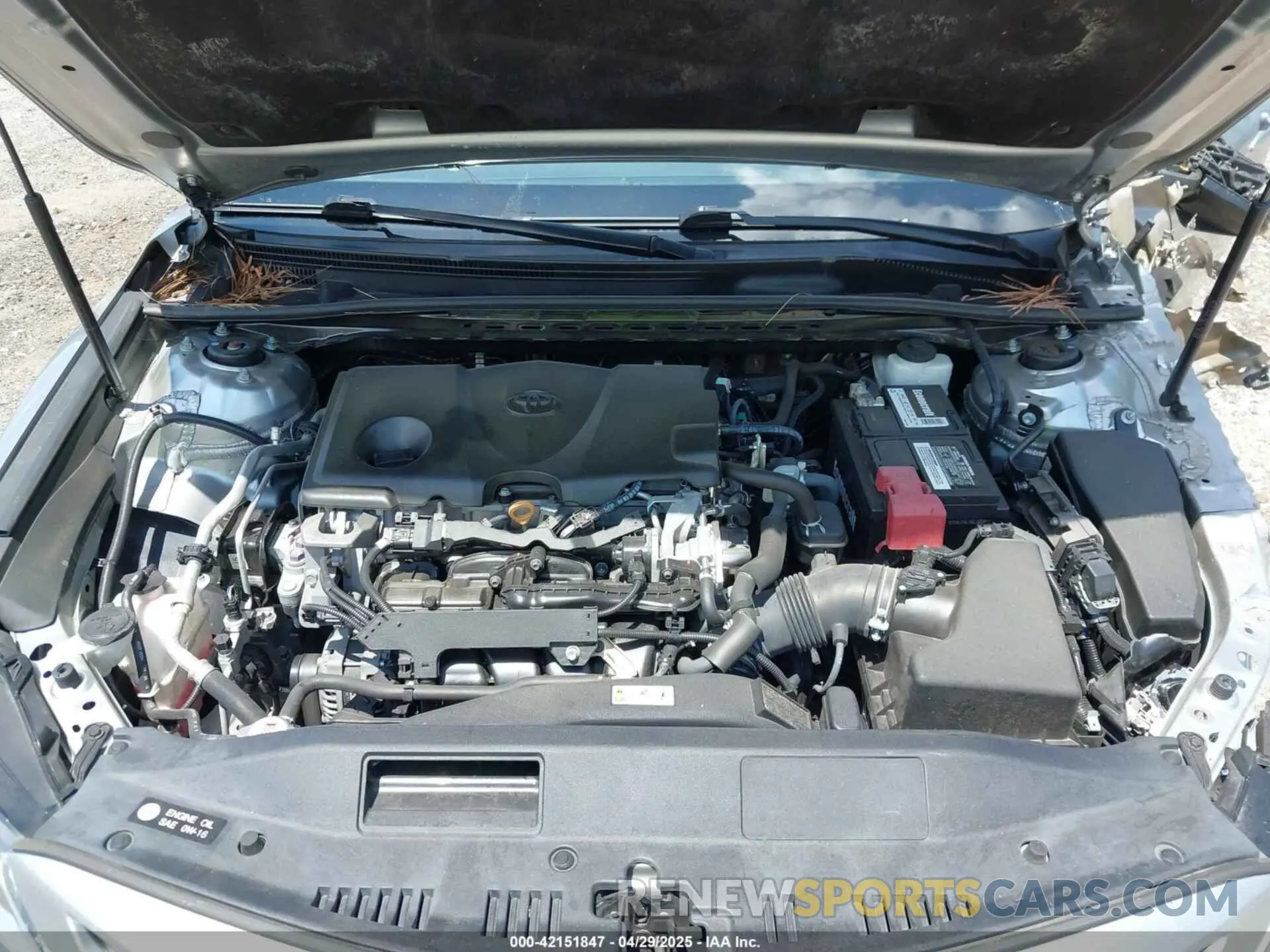 10 Photograph of a damaged car 4T1B11HK1KU204024 TOYOTA CAMRY 2019