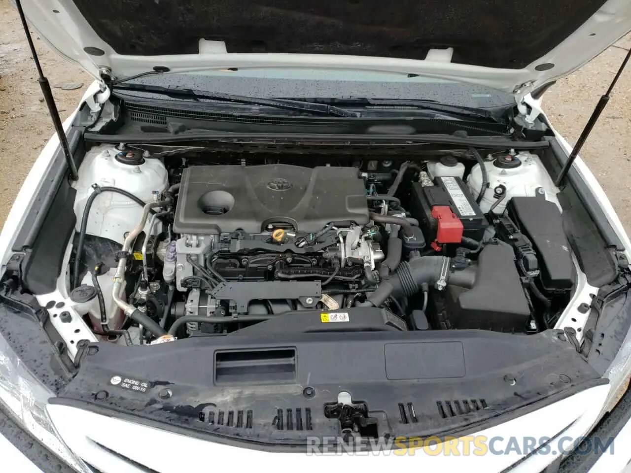 7 Photograph of a damaged car 4T1B11HK1KU254194 TOYOTA CAMRY 2019