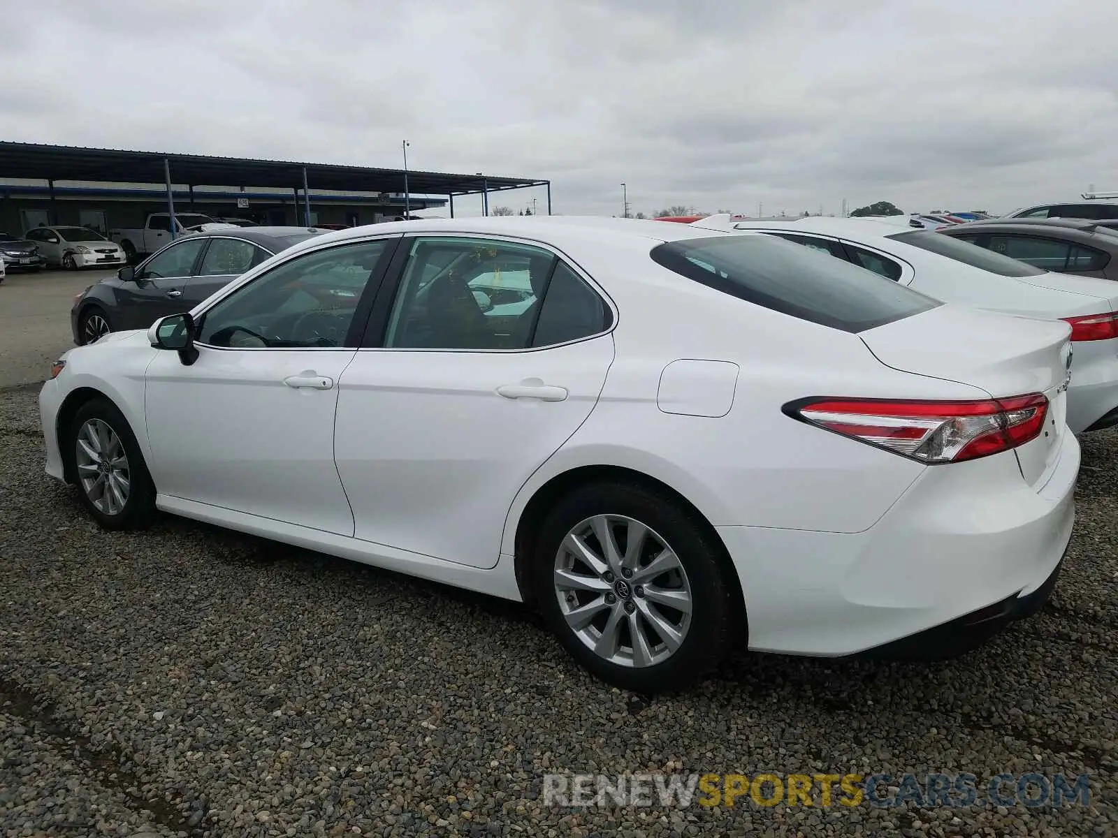 3 Photograph of a damaged car 4T1B11HK1KU270167 TOYOTA CAMRY 2019