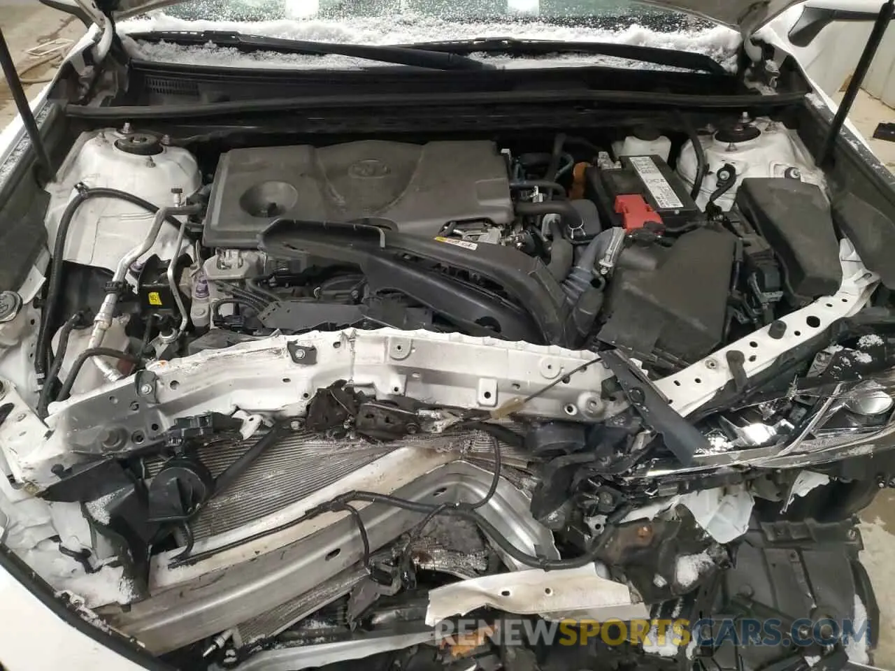 11 Фотография поврежденного автомобиля 4T1B11HK1KU693198 TOYOTA CAMRY 2019